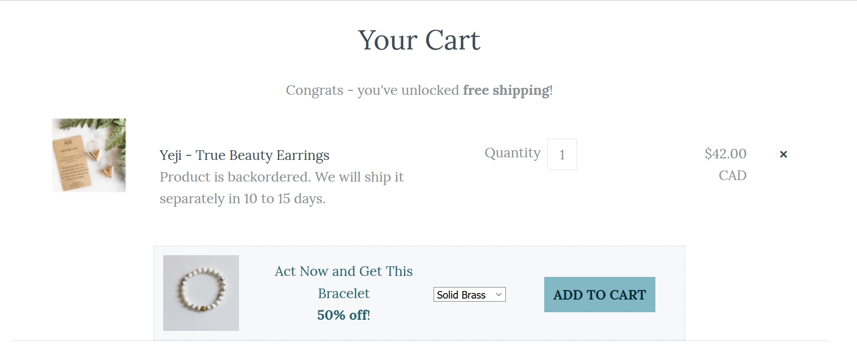 Free Shipping Online Shopifystore Progressive
